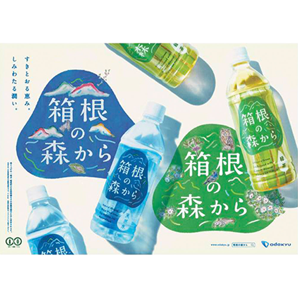 箱根の森から緑茶 500ml 24本入