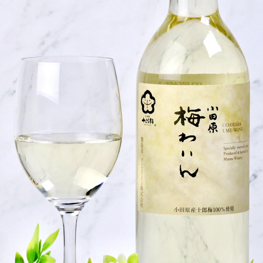 【計3本】小田原梅わいん 720ml