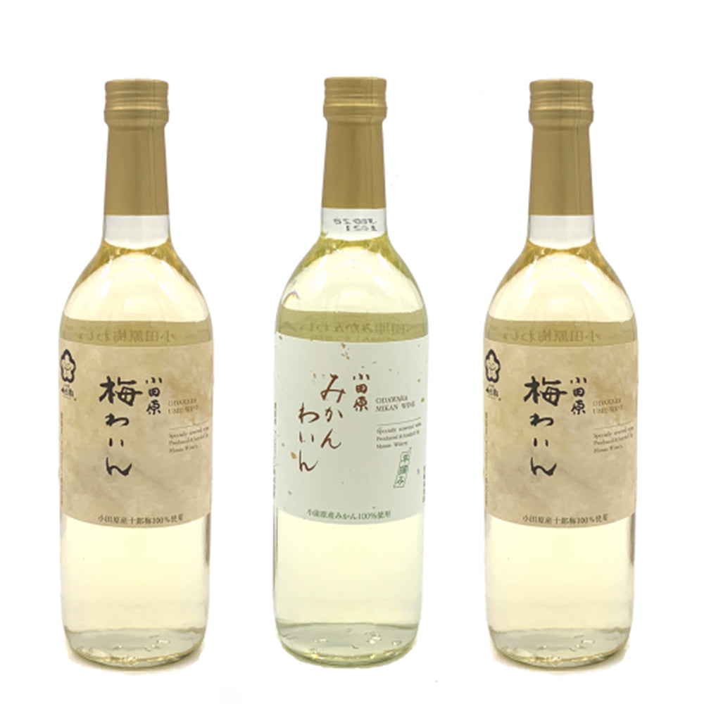 【計3本】梅わいん(2本)、みかんわいん(1本)