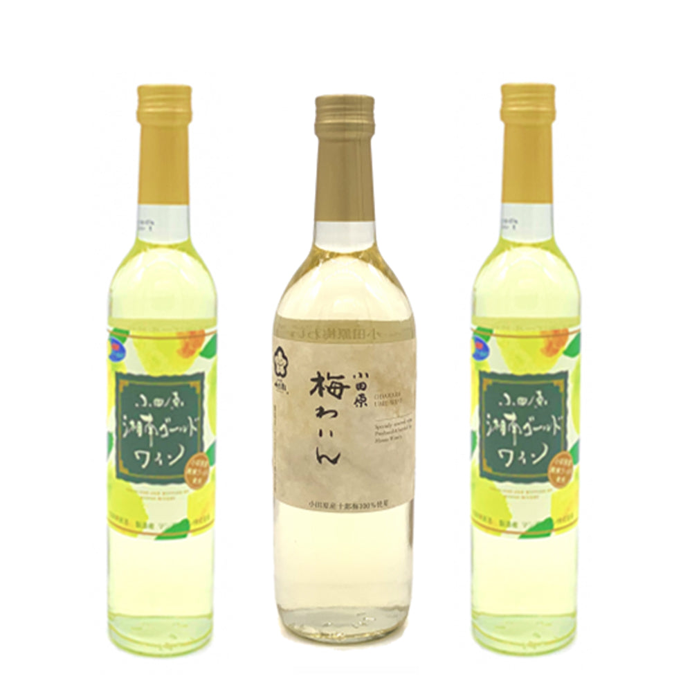 【季節限定】湘南ゴールドわいん(2本)､梅わいん(1本)[計3本]