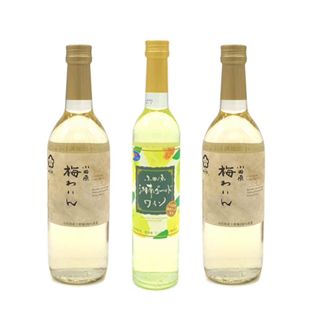 【季節限定】湘南ゴールドわいん(1本)､梅わいん(2本)[計3本]